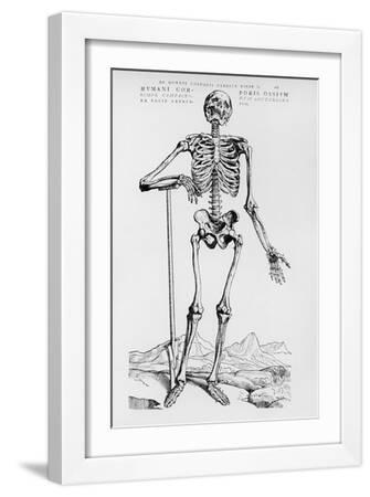 Andreas Vesalius Wall Art: Prints, Paintings & Posters | Art.com