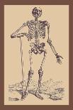The Second Plate of the Muscles-Andreas Vesalius-Art Print