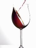 Pouring Red Wine into a Glass-Andreas Wegelin-Premier Image Canvas