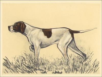 Hunting Dogs Pointer Art Print Andres Collot Art