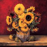 Sunflowers with Plums-Andres Gonzales-Framed Art Print