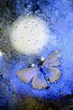 Blue butterfly frozen in ice, Cortes de la Frontera, Los Alcornocales Natural Park. Spain-Andres M. Dominguez-Photographic Print