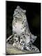 Premium Photographic Print