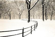 Central Park Snow-Andrew Geiger-Art Print