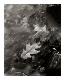Collectable Print