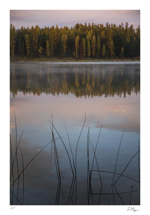 Limited Edition, , large