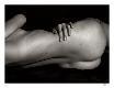 Collectable Print