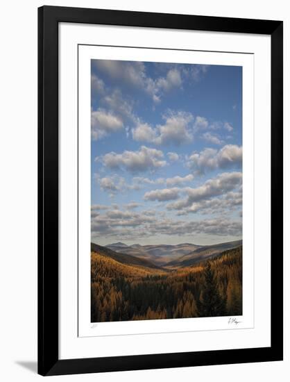 Limited Edition, , large