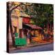Stretched Canvas Print