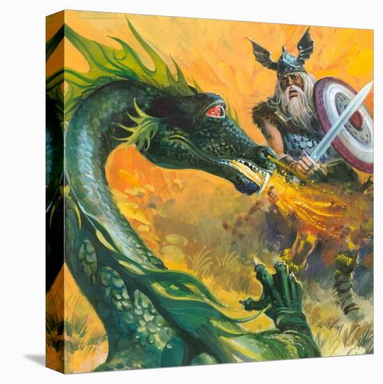 Stretched Canvas Print, , large