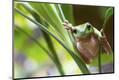 Premium Photographic Print