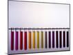 Premium Photographic Print