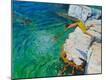 Giclee Print