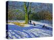 Stretched Canvas Print