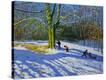 Stretched Canvas Print
