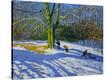 Stretched Canvas Print