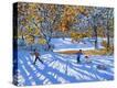 Stretched Canvas Print