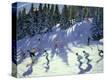 Stretched Canvas Print