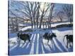 Stretched Canvas Print