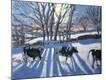 Giclee Print