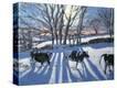 Stretched Canvas Print