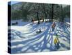 Stretched Canvas Print