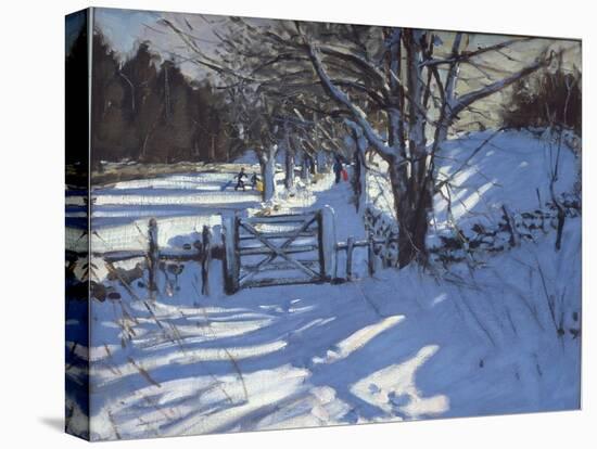 Stretched Canvas Print, , large