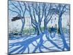 Giclee Print