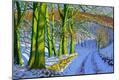 Giclee Print