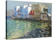 Stretched Canvas Print