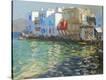 Stretched Canvas Print