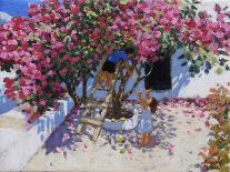 Little Venice, Mykonos-Andrew Macara-Giclee Print