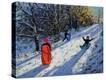 Stretched Canvas Print
