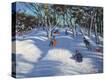 Stretched Canvas Print