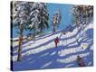 Stretched Canvas Print