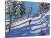 Stretched Canvas Print