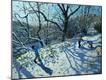 Giclee Print