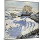 Premium Giclee Print