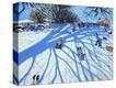 Stretched Canvas Print