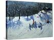 Stretched Canvas Print