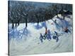 Stretched Canvas Print