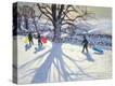 Stretched Canvas Print