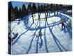 Stretched Canvas Print