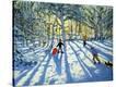 Stretched Canvas Print