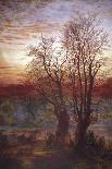 Oak Trees in Sherwood Forest, 1877-Andrew Maccallum-Giclee Print