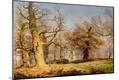 Giclee Print