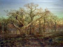 Oak Trees in Sherwood Forest, 1877-Andrew Maccallum-Framed Premier Image Canvas
