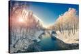 Stretched Canvas Print