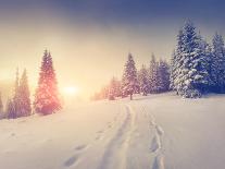 Colorful Winter Sunrise in the Carpathian Mountains. Gorgany Ridge, Ukraine, Europe. Instagram Toni-Andrew Mayovskyy-Photographic Print