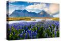 Stretched Canvas Print